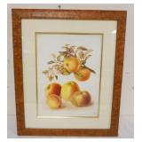 1064	FRAMED FRUIT ENGRAVING IN BIRDS EYE MAPLE FRAME, APPROXIMATELY 19 IN X 23 IN
