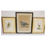 1083	3 FRAMED BIRD PRINTS, 2 BY S NAKAMURA SIGNED & NUMBERED, LARGEST APPROXIMATELY 19 IN X 26 IN OV