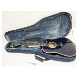 1259	CELESTIAL NIGHT ACOUSTIC GUITAR IN CASE, ESTEBAN, WRITING ON GUITAR FOR GIFT