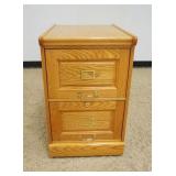 1174	CONTEMPORARY OAK 2 DRAWER FILE CABINET, APPROXIMATELY 19 IN X 23 IN X 31 IN H