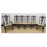 1244	SET OF 6 MAHOGANY CHIPPENDALE STYLE BALL & CLAW FOOT CHAIRS WITH NEEDLE POINT SEATS, 1 ARM 5 SI