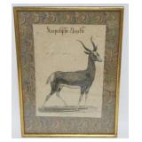1127	FRAMED ANTIQUE ENGRAVING OF A GAZELLE, APPROXIMATELY 11 IN X 15 IN OVERALL
