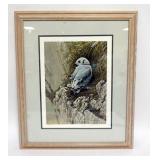 1131	ROBERT BATEMAN PRINT, FRAMED AND MATTED, PENCIL SIGNED AND NO. 219/950 *YOUNG KITTIWAKE*, APPRO