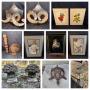 The Dutchess Sale bids start to end 7pm Thur Sep 25th pickup Sat Sep 27th noon-5pm.