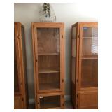 Single Locking Labinet