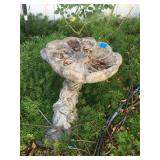 Birdbath Birdbath