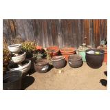 Outdoor Plants / Planters