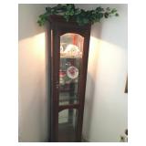 Curio Cabinet