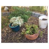 Misc. Pots