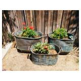 Plants in Metal Bins