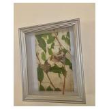 Hummingbird Nest in Shadow Box Art
