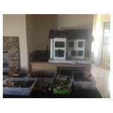 Dollhouse $100