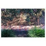 Headboard Yard Decor