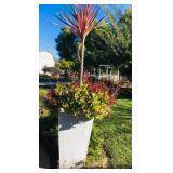 Misc. Outdoor Plants