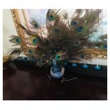 Decorative Peacock