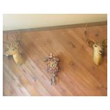 Deer Taxidermy