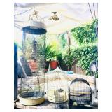 Birdcages