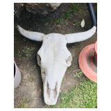 Cement Cow Skull Decor