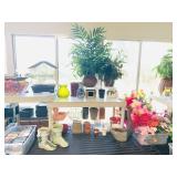 Misc. Flowers & Pots