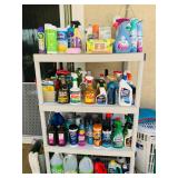 Assorted Cleaning Supplies / Paint