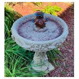 Bird Bath - Close-up