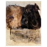 Fur Pieces