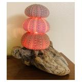 Sea Shell Table Lamp