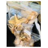 Seashells