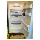 Inside Freezer