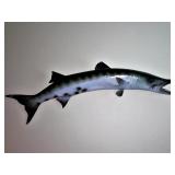 Large Mounted barracuda. 