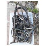 Horse Riding Equipment