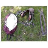 Horse Riding Equipment