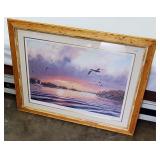 Picture of Pelicans /Water