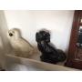 Antiques, Vintage and much more