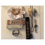 Villages sale Village of Pine Ridge