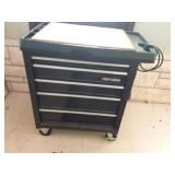 Bid at ftw.ctbids.com