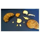 Bid on this item at http://ftw.ctbids.com