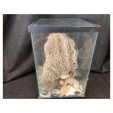 Bid on item at http://ftw.ctbids.com