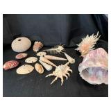 Bid on item at http://ftw.ctbids.com