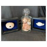 Bid on item at http://ftw.ctbids.com