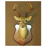 Calvert TX Liquidation Auction by CTBids