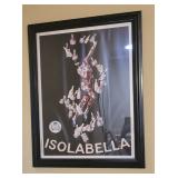 Framed Isolabella Jester Print