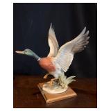 G Armani Flying Mallard Duck