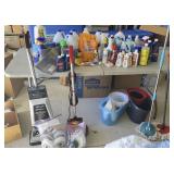 Household Cleaning Mystery