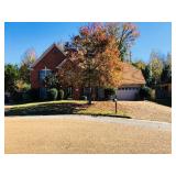 Cordova Estate Sale Guitar Collection etc.