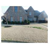 Nice Collierville Estate Sale