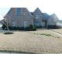 Nice Collierville Estate Sale