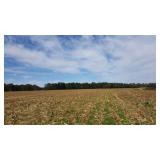 Nov 17 - 202.5 ACres Cropland, Timber, Farm