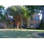 UPSCALE & GUY SALE COLLIERVILLE