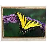 Large print on canvas $50